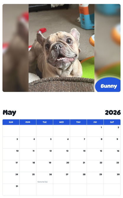 2026 - 2027 Bunny - Pawidols Pet Calendar