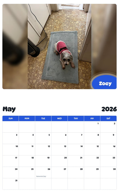 2026 - 2027 Zoey - Pawidols Pet Calendar