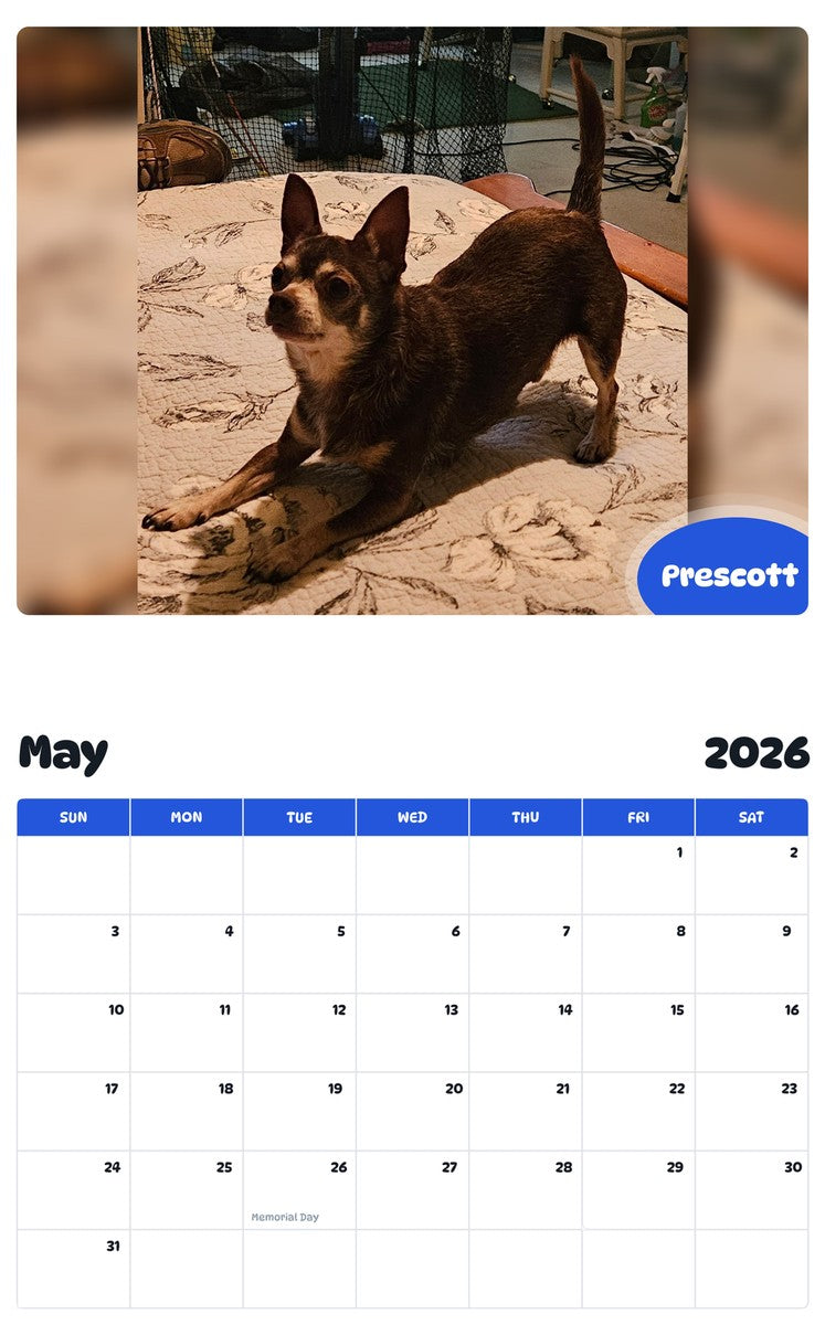2026 - 2027 Prescott - Pawidols Pet Calendar