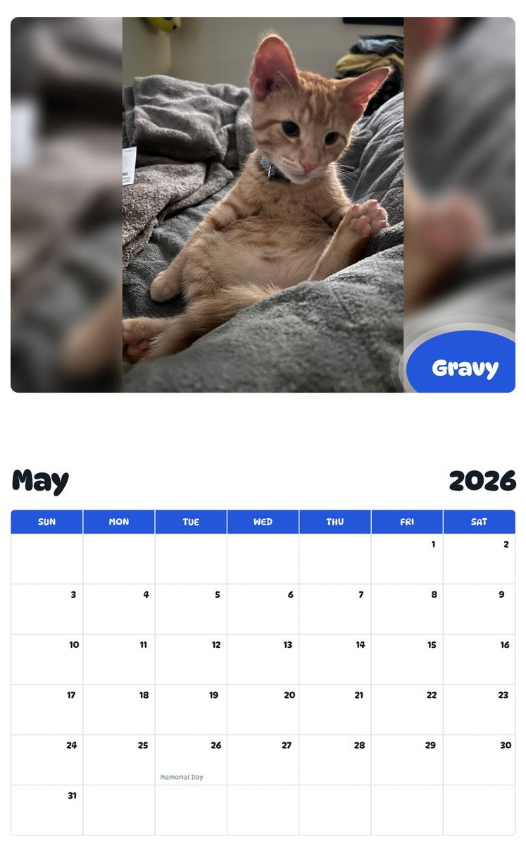2026 - 2027 Gravy - Pawidols Pet Calendar