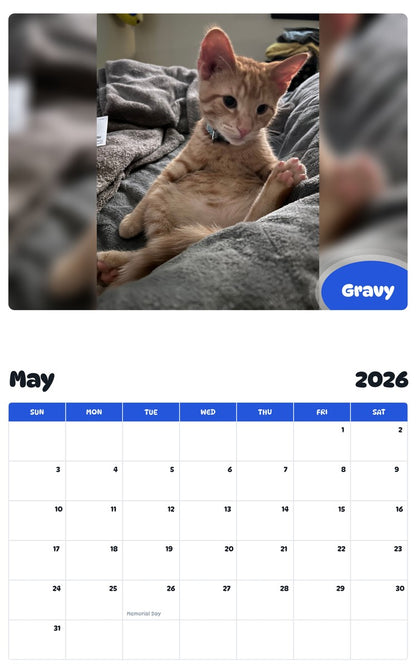 2026 - 2027 Gravy - Pawidols Pet Calendar