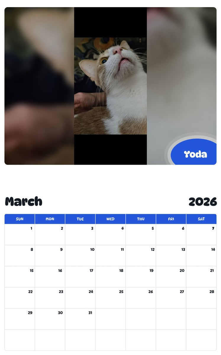 November 2025 - October 2026 Yoda - Pawidols Pet Calendar