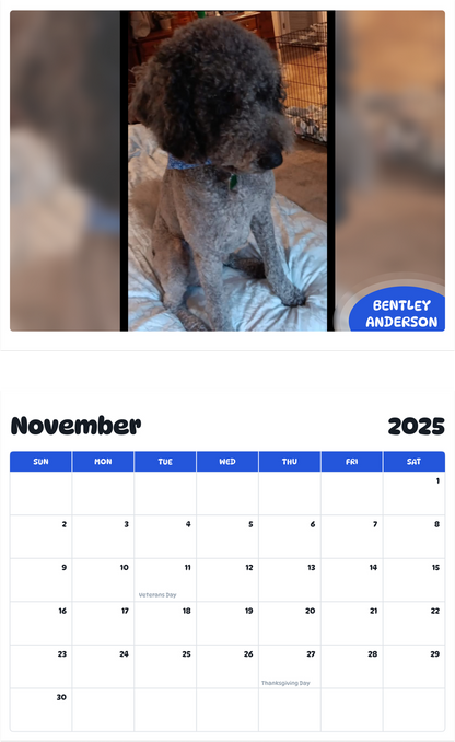 July 2025 - June 2026 Bentley Anderson - Pawidols Pet Calendar