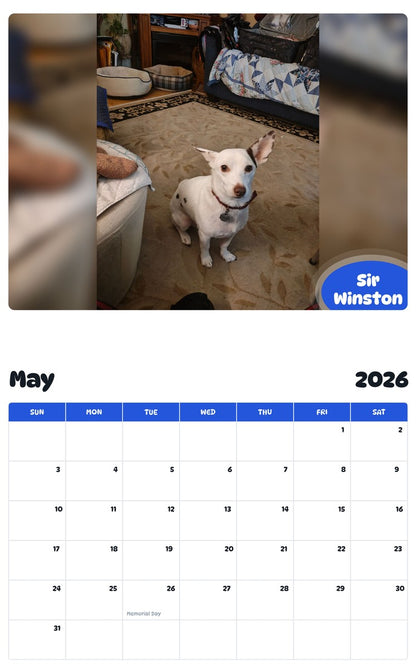 2026 - 2027 Sir Winston - Pawidols Pet Calendar