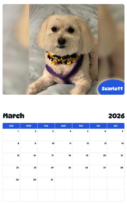 November 2025 - October 2026 Scarlett - Pawidols Pet Calendar