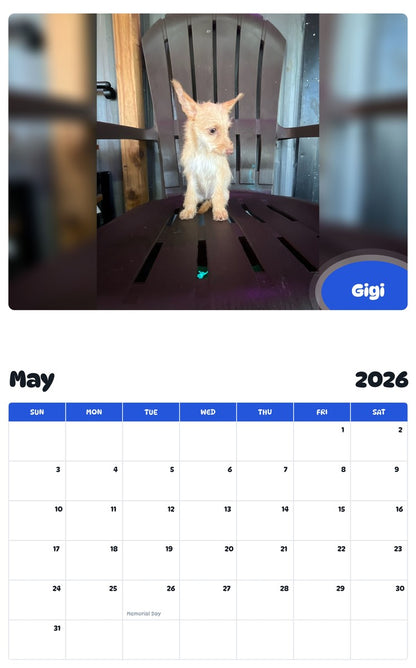 2026 - 2027 Gigi - Pawidols Pet Calendar