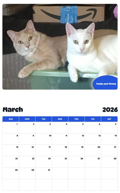 November 2025 - October 2026 Teddy and Timmy - Pawidols Pet Calendar