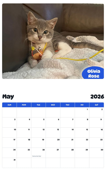 2026 - 2027 Olivia Rose - Pawidols Pet Calendar