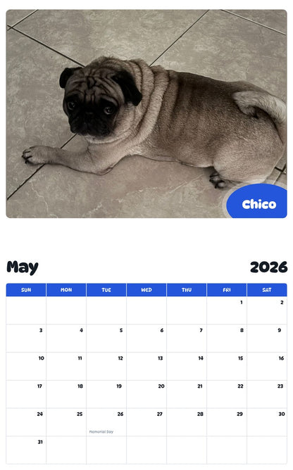 2026 - 2027 Chico - Pawidols Pet Calendar