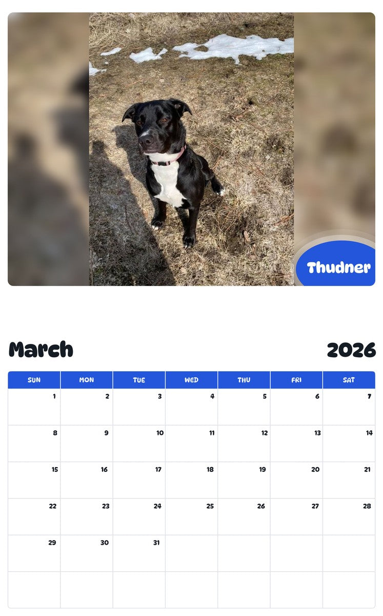 November 2025 - October 2026 Thudner - Pawidols Pet Calendar