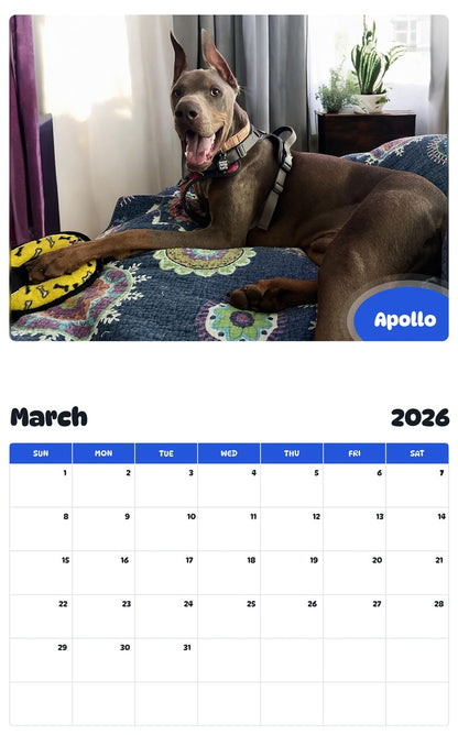 November 2025 - October 2026 Apollo - Pawidols Pet Calendar