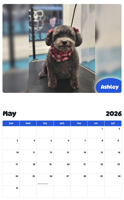 2026 - 2027 Ashley - Pawidols Pet Calendar