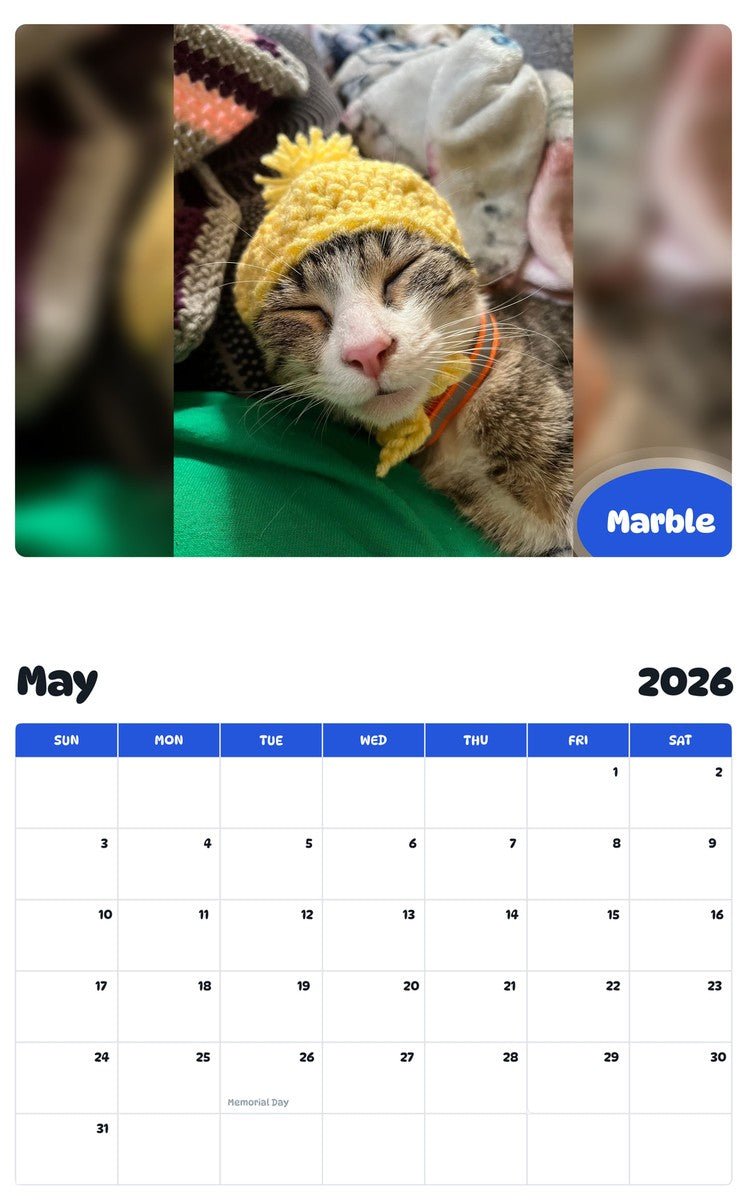 2026 - 2027 Marble - Pawidols Pet Calendar