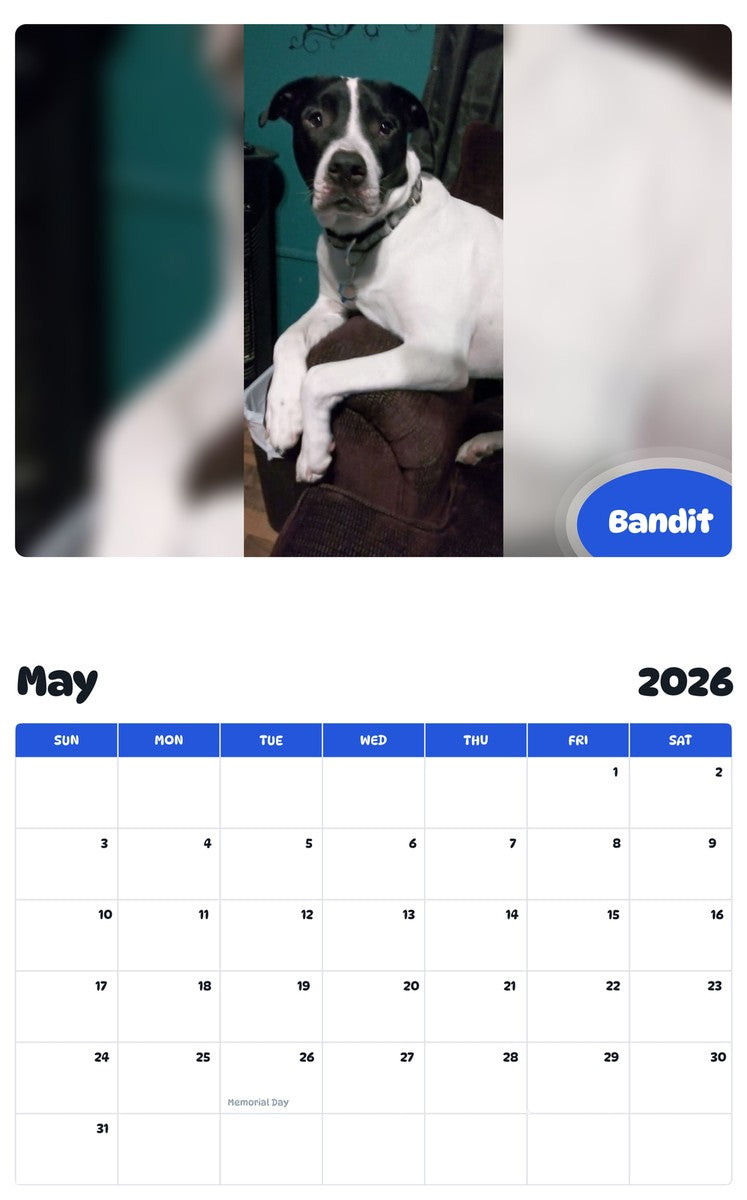 2026 - 2027 Bandit - Pawidols Pet Calendar