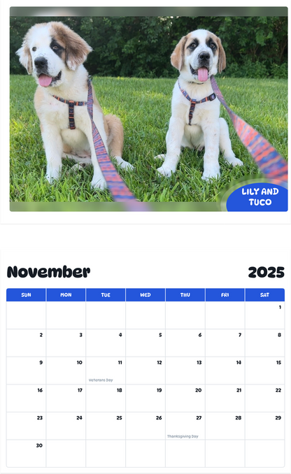 July 2025 - June 2026 Lily and Tuco - Pawidols Pet Calendar