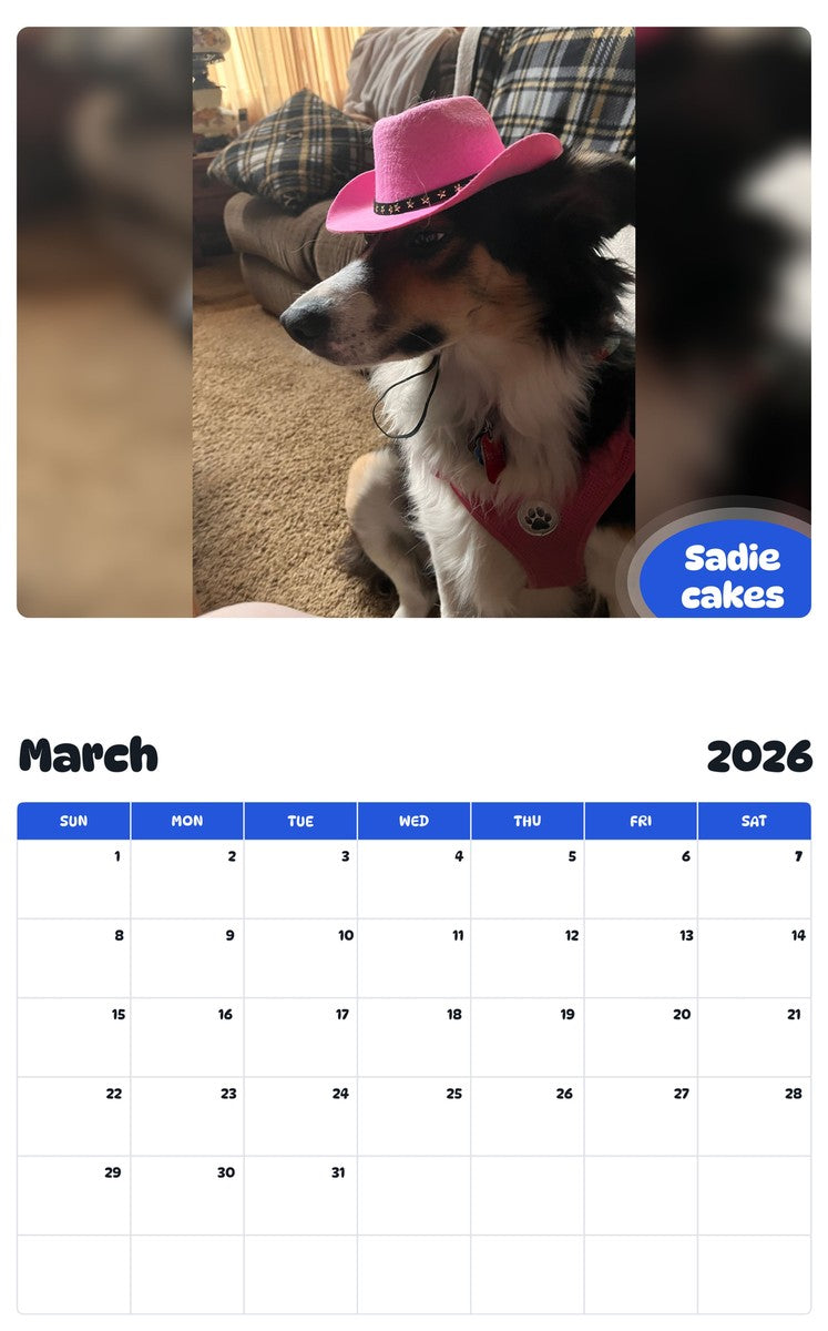November 2025 - October 2026 Sadie cakes - Pawidols Pet Calendar