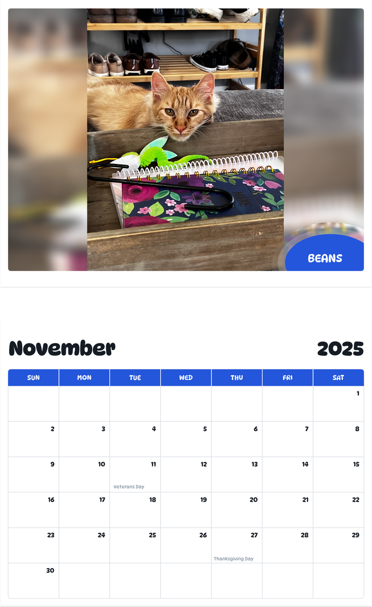 July 2025 - June 2026 Beans - Pawidols Pet Calendar