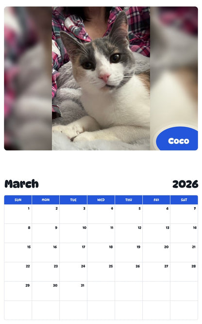 November 2025 - October 2026 Coco - Pawidols Pet Calendar