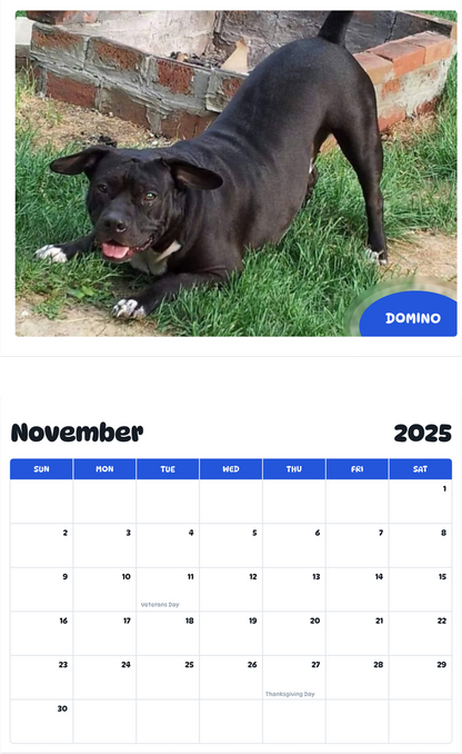 July 2025 - June 2026 Domino - Pawidols Pet Calendar