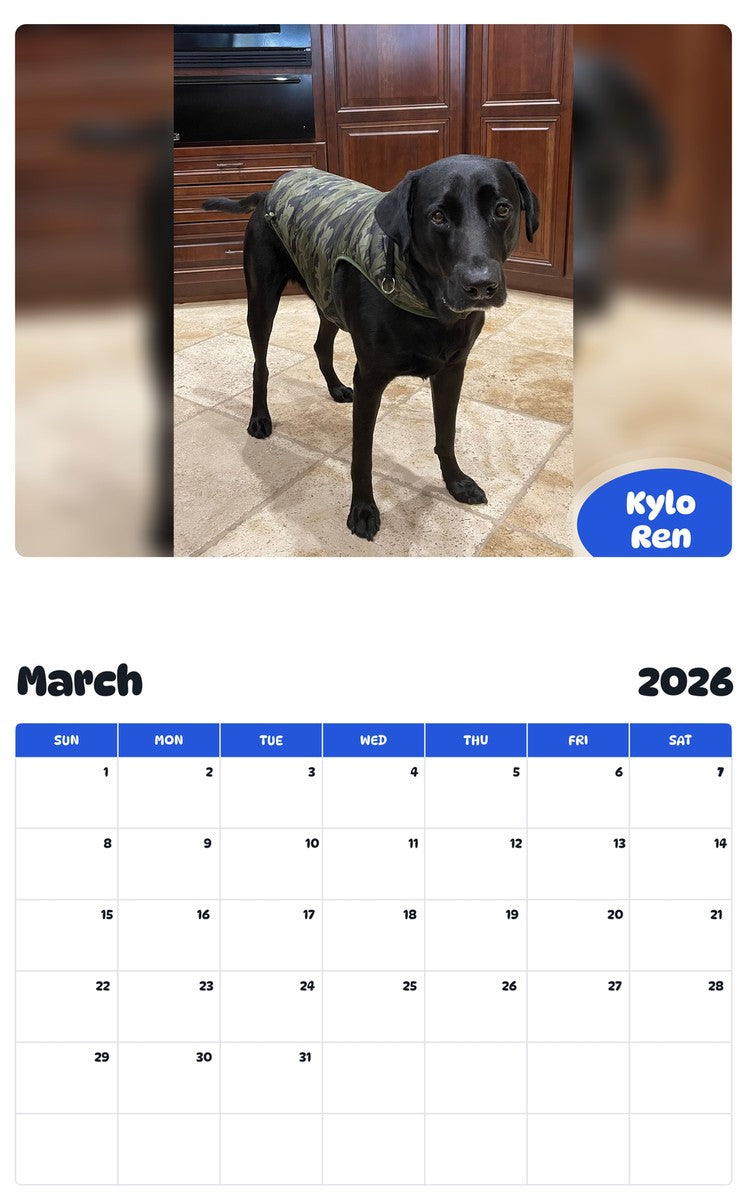 November 2025 - October 2026 Kylo Ren - Pawidols Pet Calendar