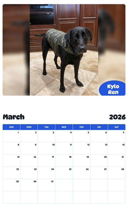 November 2025 - October 2026 Kylo Ren - Pawidols Pet Calendar