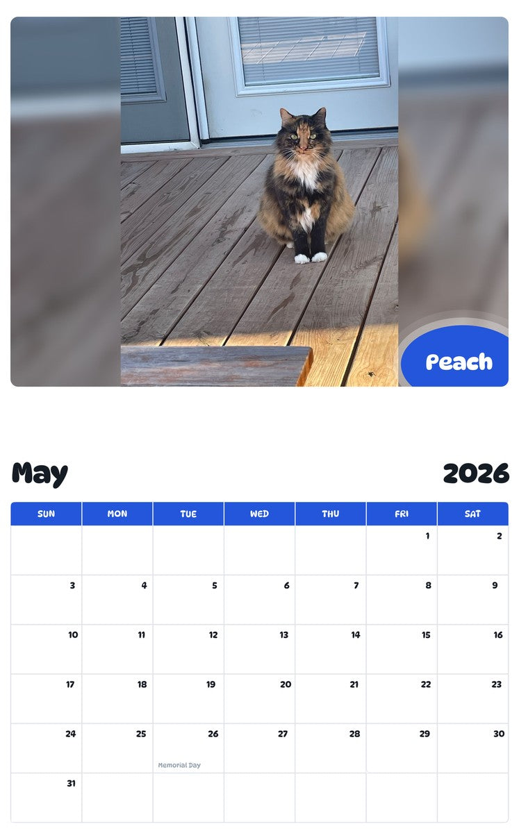 2026 - 2027 Peach - Pawidols Pet Calendar