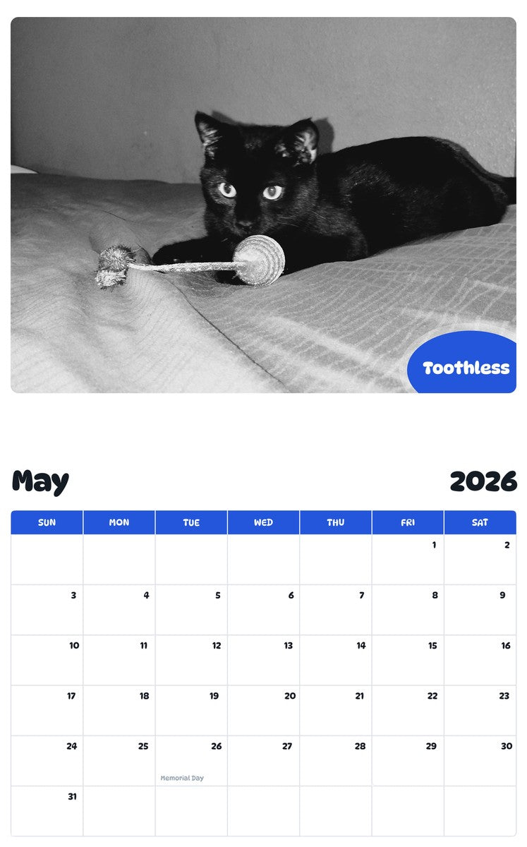 2026 - 2027 Toothless - Pawidols Pet Calendar
