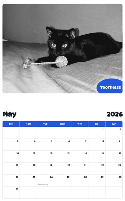 2026 - 2027 Toothless - Pawidols Pet Calendar