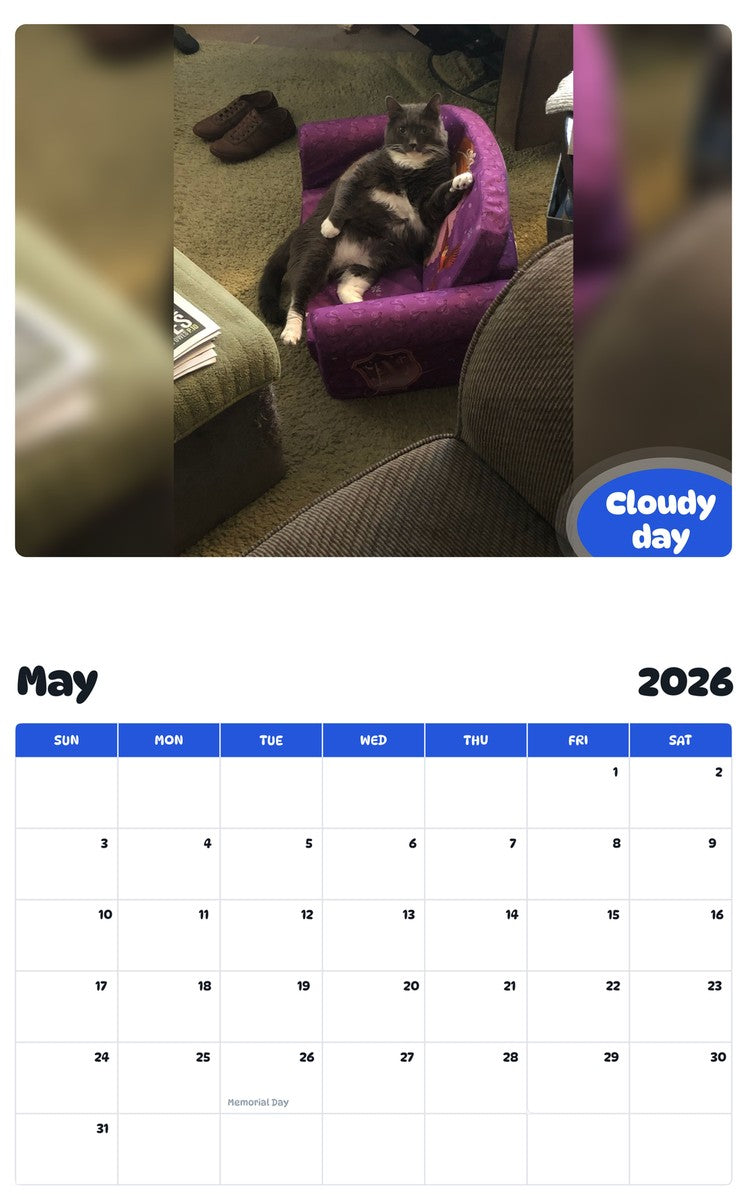 2026 - 2027 Cloudy day - Pawidols Pet Calendar