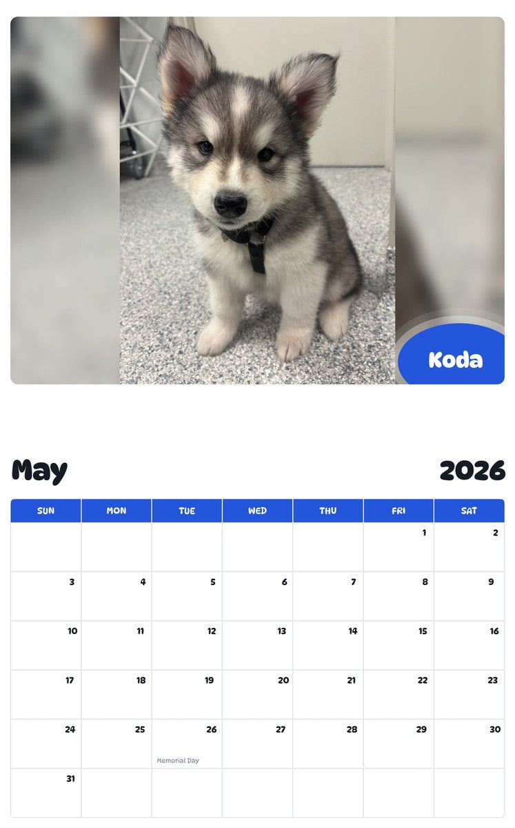 2026 - 2027 Koda - Pawidols Pet Calendar