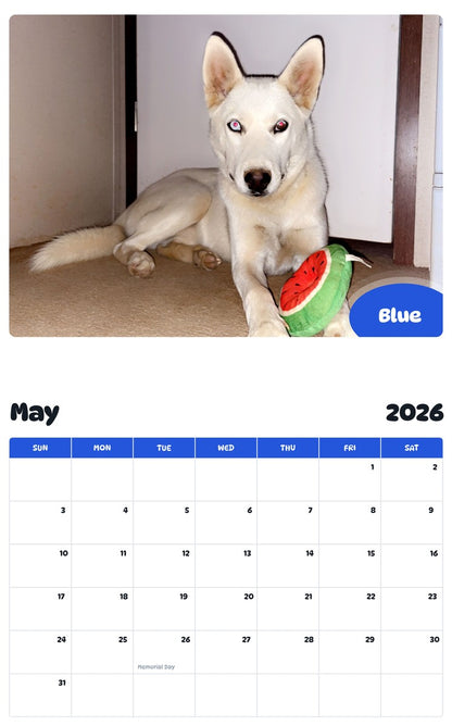 2026 - 2027 Blue - Pawidols Pet Calendar