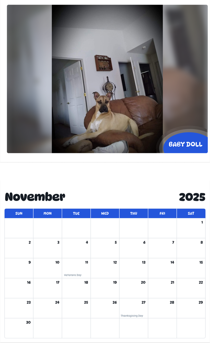 July 2025 - June 2026 Baby Doll - Pawidols Pet Calendar