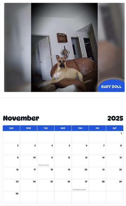 July 2025 - June 2026 Baby Doll - Pawidols Pet Calendar
