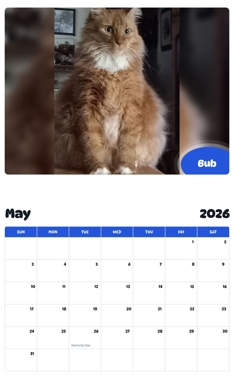 2026 - 2027 Bub - Pawidols Pet Calendar