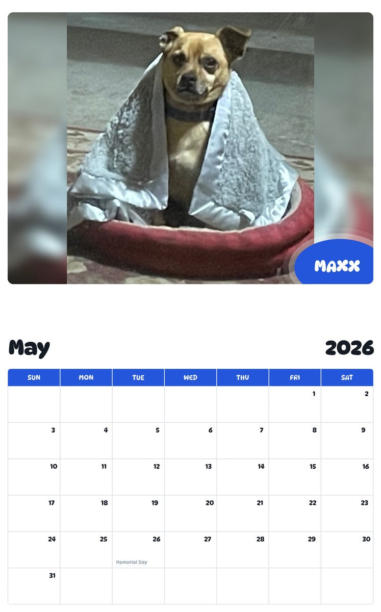 2026 - 2027 MAXX - Pawidols Pet Calendar