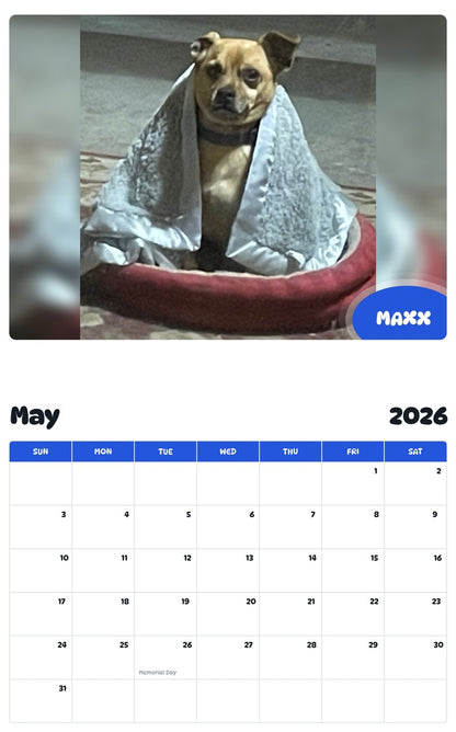 2026 - 2027 MAXX - Pawidols Pet Calendar