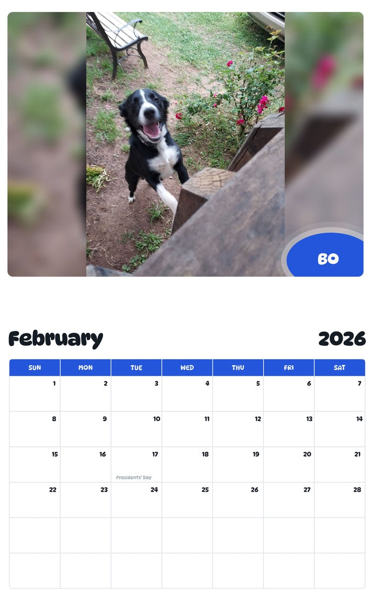 October 2025 - September 2026 BO - Pawidols Pet Calendar