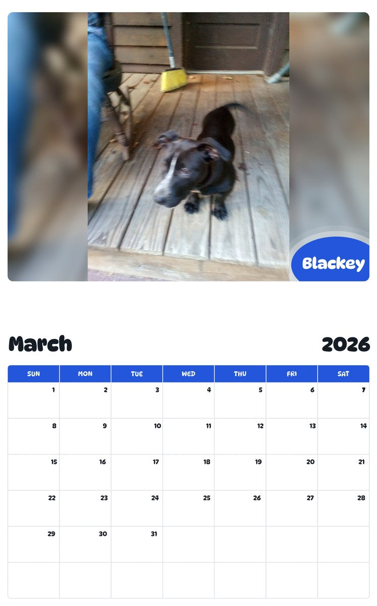 November 2025 - October 2026 Blackey - Pawidols Pet Calendar