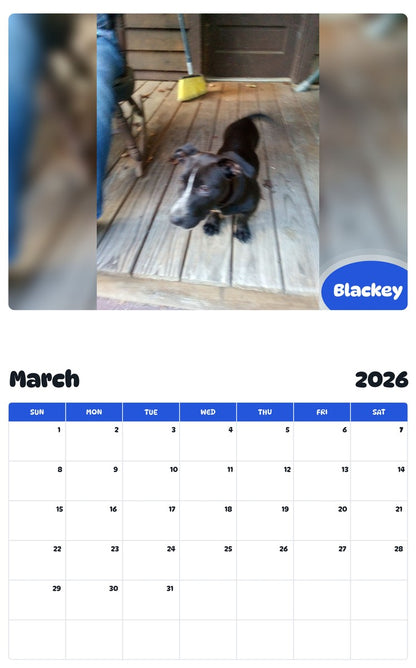 November 2025 - October 2026 Blackey - Pawidols Pet Calendar