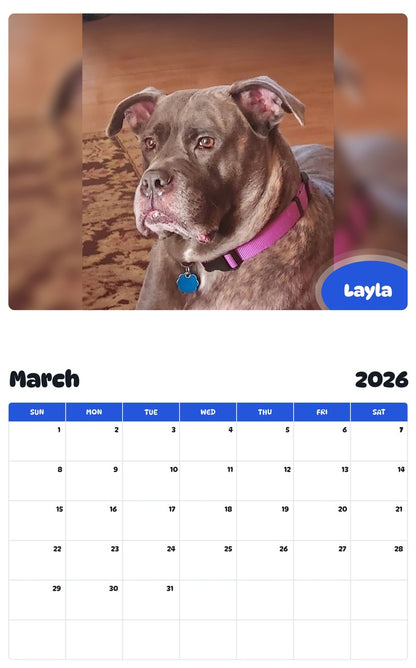 November 2025 - October 2026 Layla - Pawidols Pet Calendar