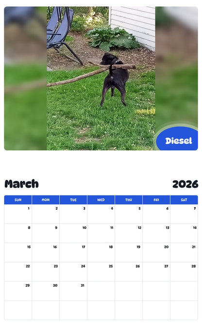 November 2025 - October 2026 Diesel - Pawidols Pet Calendar