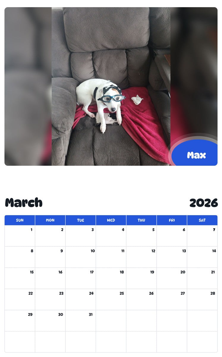 November 2025 - October 2026 Max - Pawidols Pet Calendar