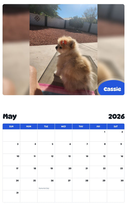 2026 - 2027 Cassie - Pawidols Pet Calendar