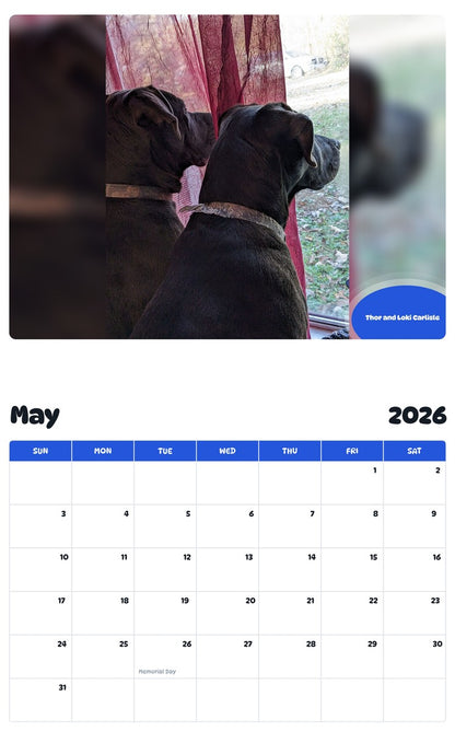 2026 - 2027 Thor and Loki Carlisle - Pawidols Pet Calendar