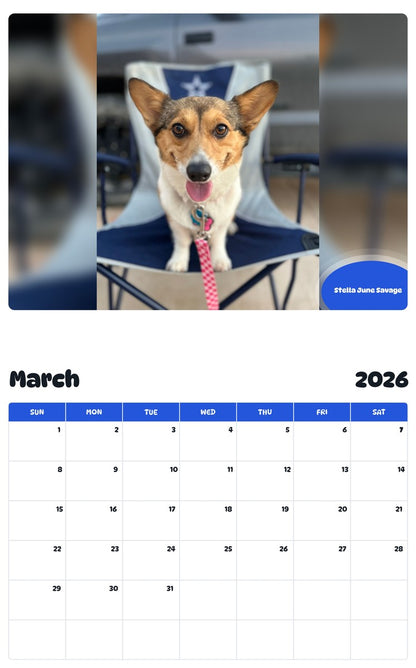 November 2025 - October 2026 Stella June Savage - Pawidols Pet Calendar