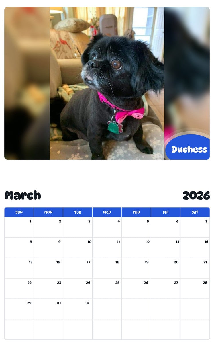 November 2025 - October 2026 Duchess - Pawidols Pet Calendar