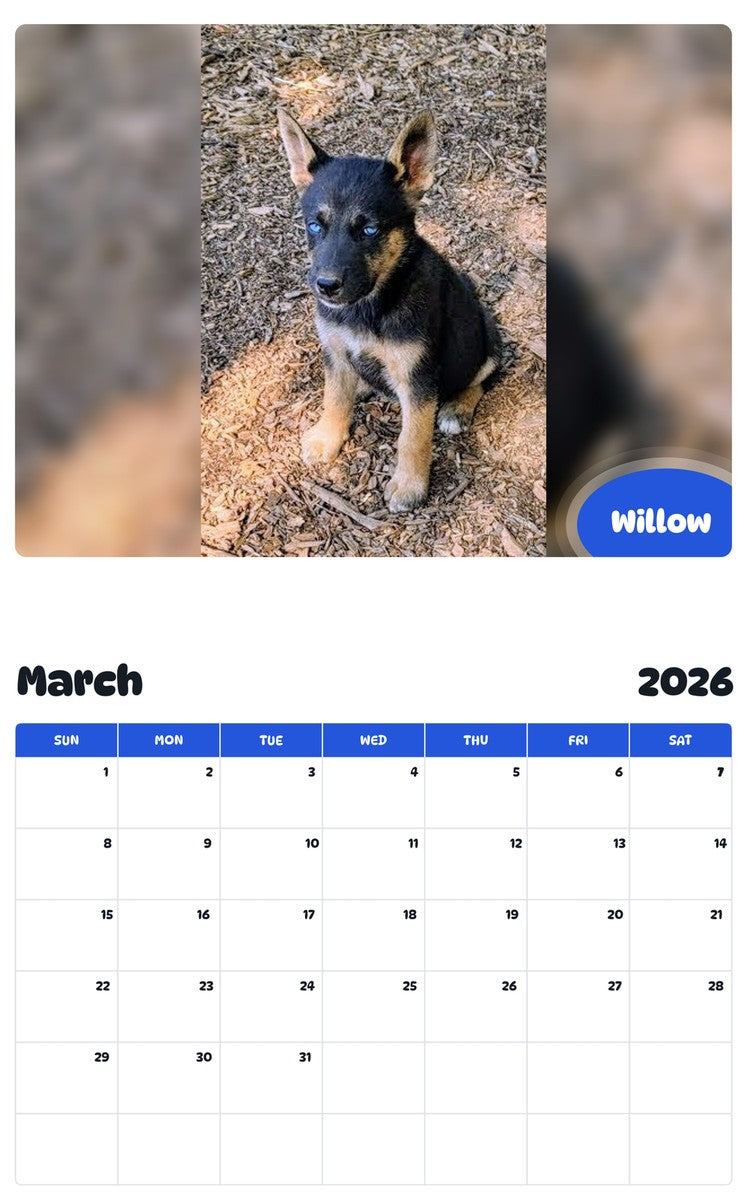 November 2025 - October 2026 Willow - Pawidols Pet Calendar