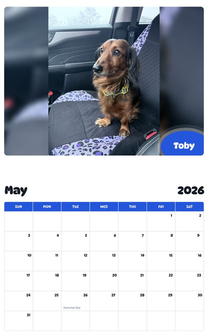 2026 - 2027 Toby - Pawidols Pet Calendar