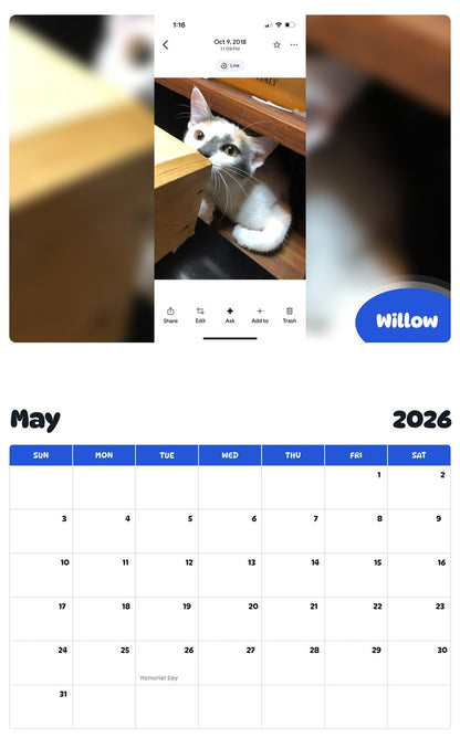 2026 - 2027 Willow - Pawidols Pet Calendar