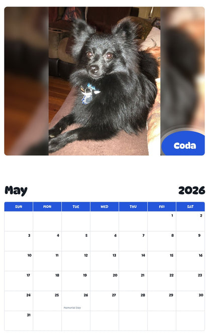 2026 - 2027 Coda - Pawidols Pet Calendar
